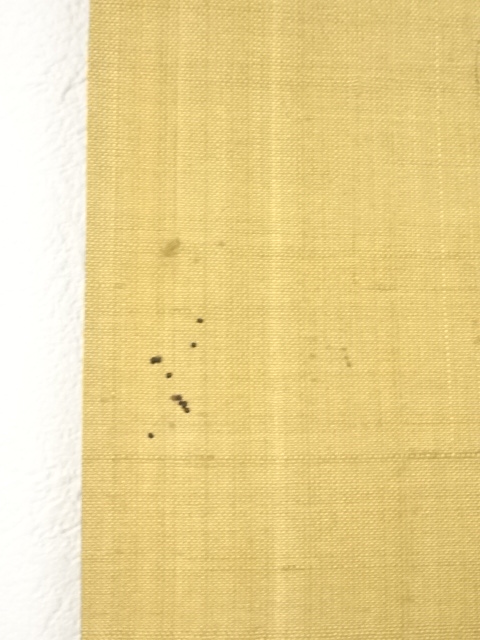 道具 ] - 道具 山下巌筆 山峡初夏 肉筆絹本掛軸（共箱） | ネット